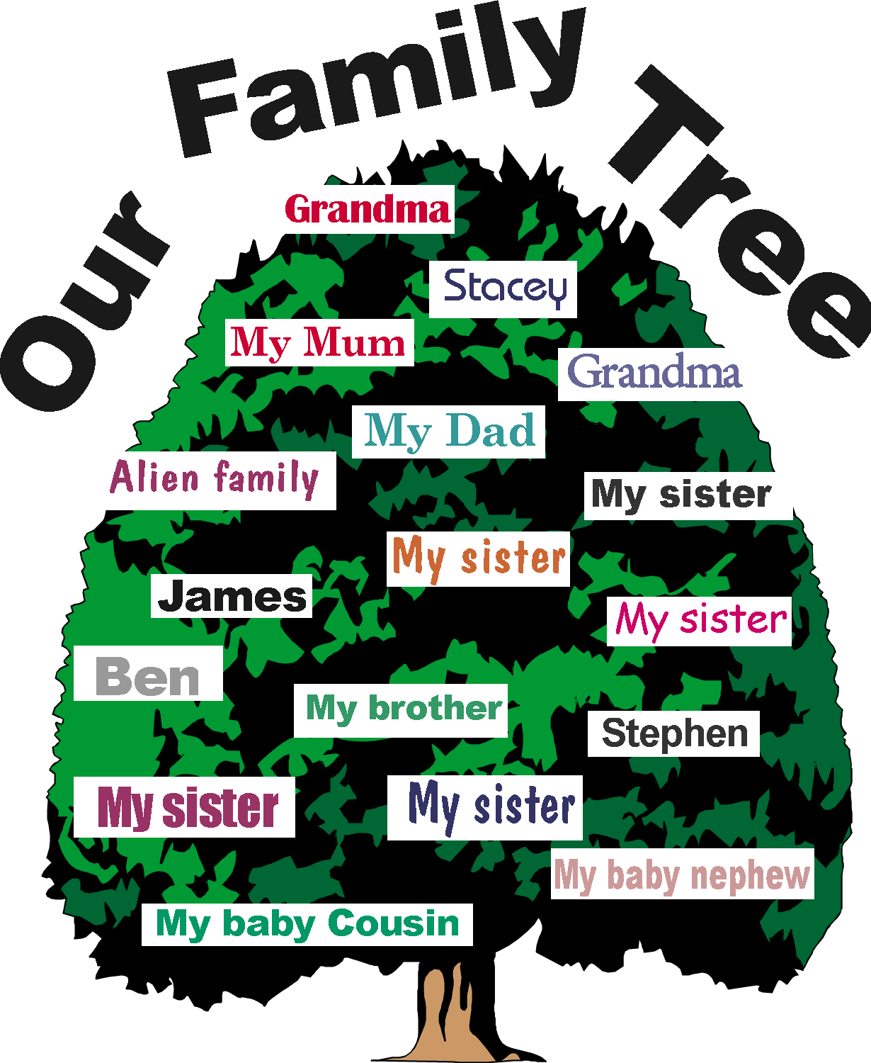 family tree